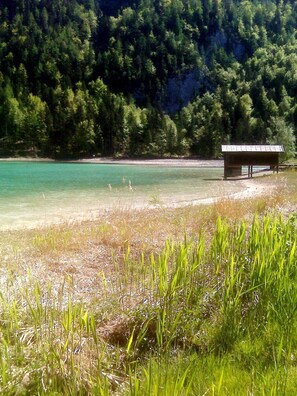 A beach with clear water, a wooden structure, and dense forest in the background.