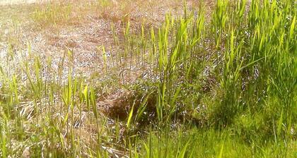 Luxury apartment in Kitzbühel, directly on the slopes, panoramic view