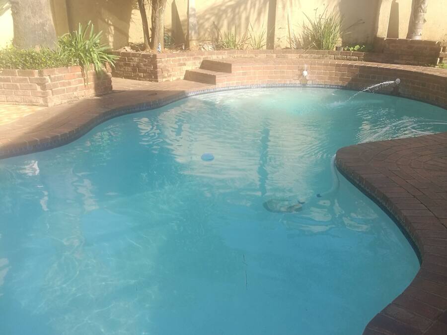 Una piscina al aire libre, sombrillas, sillones reclinables de piscina