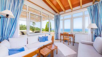 Een televisie, een open haard, een dvd-speler en boeken