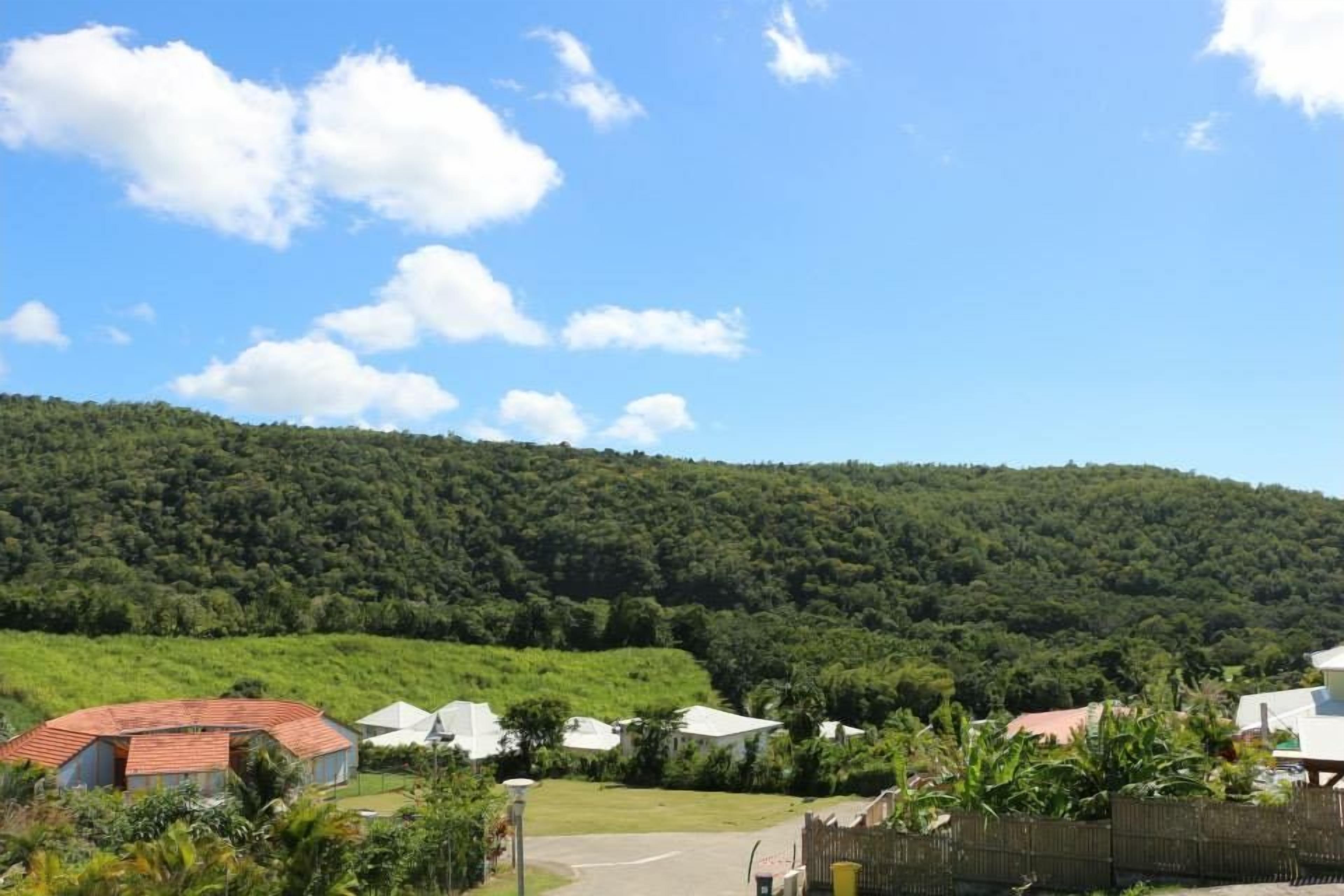 Un paisaje rural con una carretera, casas y una colina al fondo.
