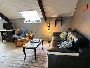 Televisión, videojuegos, libros, estéreo