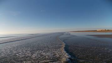 Playa en los alrededores y camastros