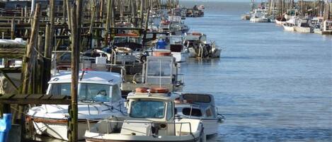 A marina with numerous boats docked in a row, wooden pilings, and calm water.