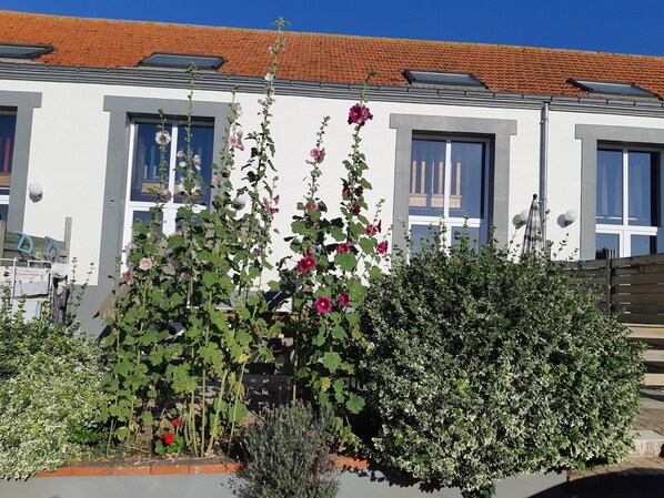 Detalle exterior