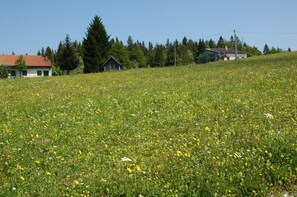 Ulkoalueet