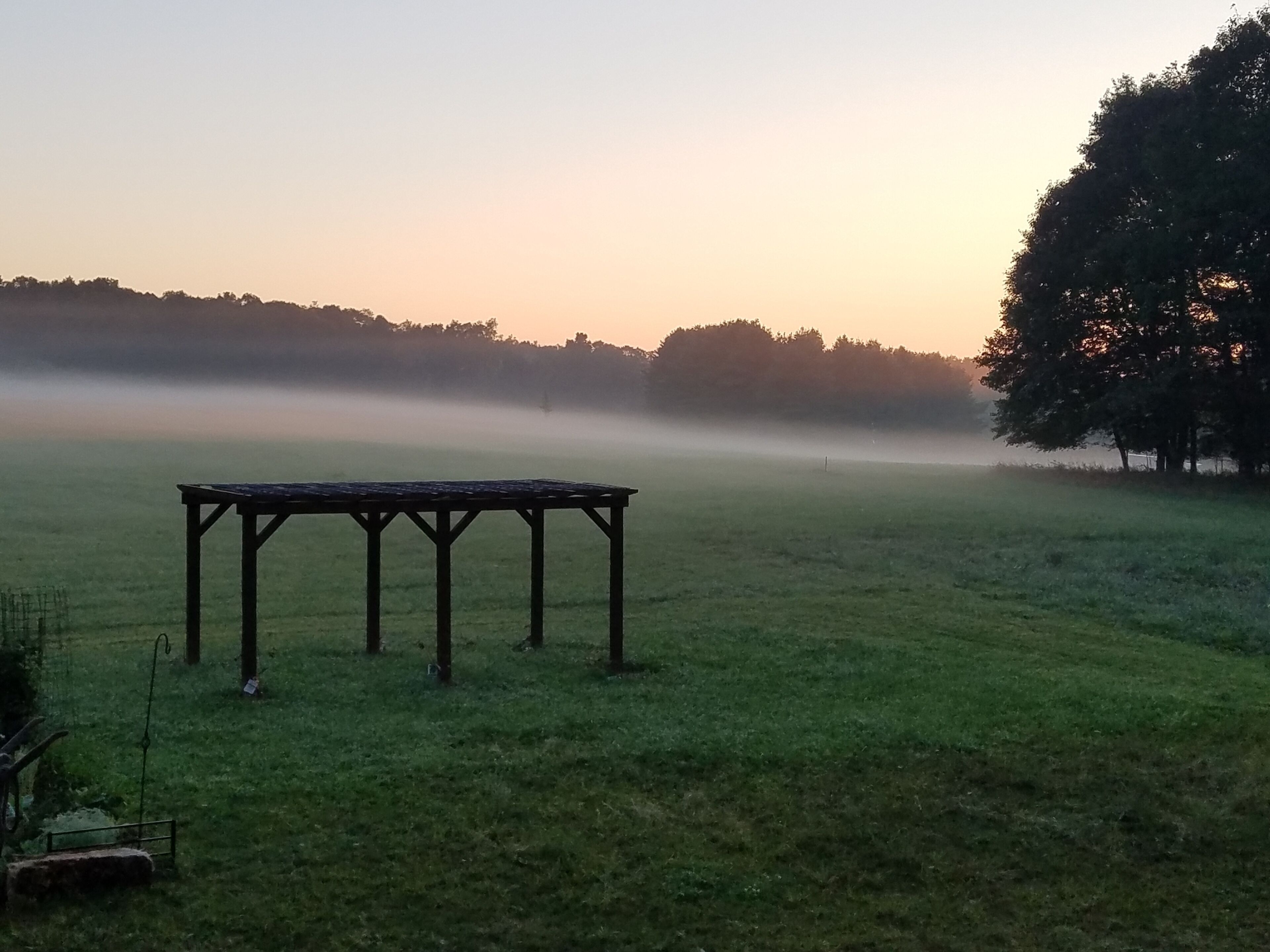 Een prieeltje in een grasveld, met een nevelige achtergrond en bomen.