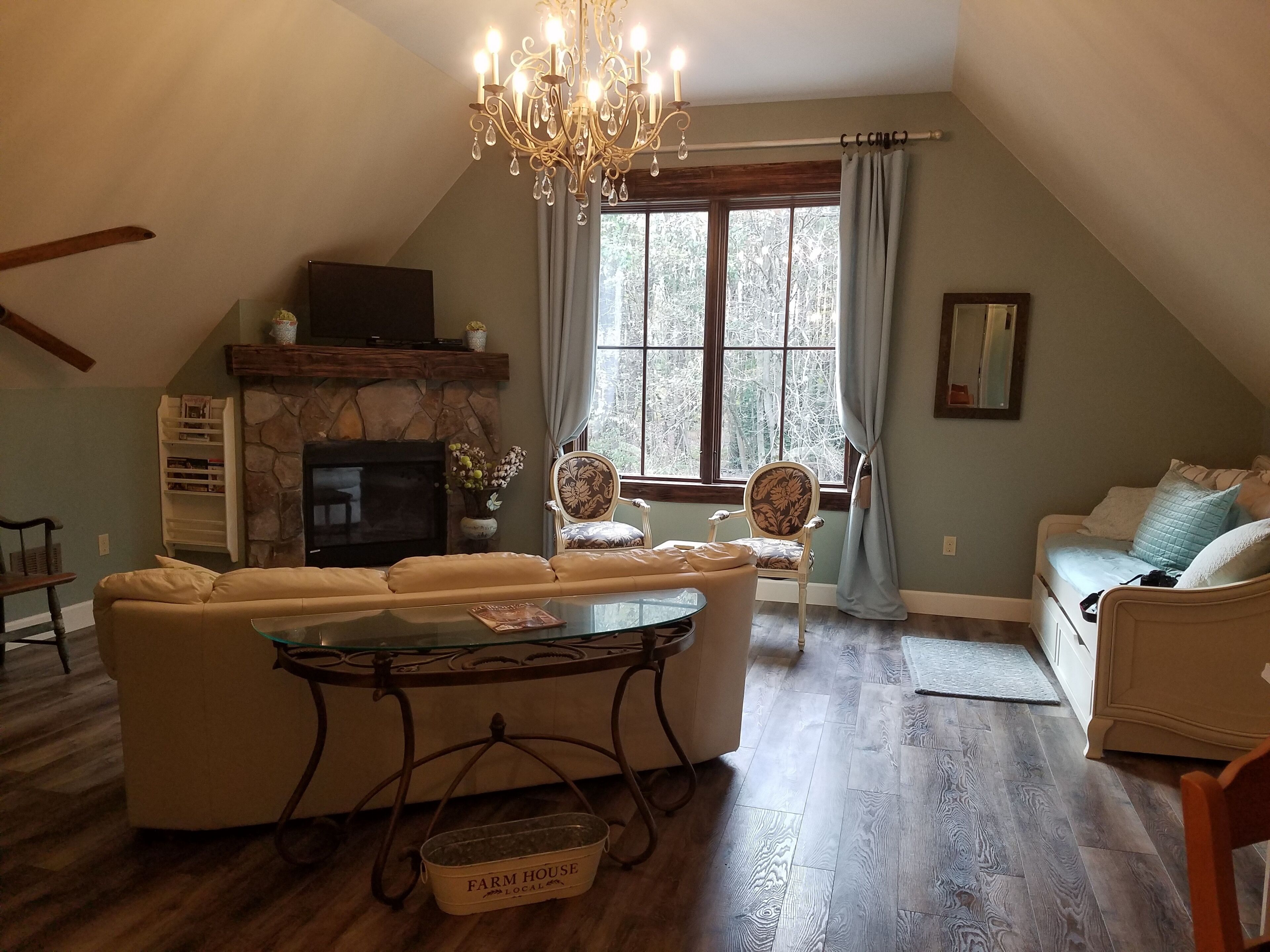 Smart TV, fireplace, DVD player, books