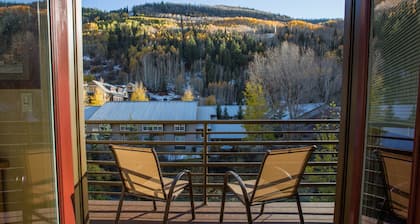 VIKING LODGE 314, River Trail-Close to Gondola, Lifts, MARCH SPECIALS