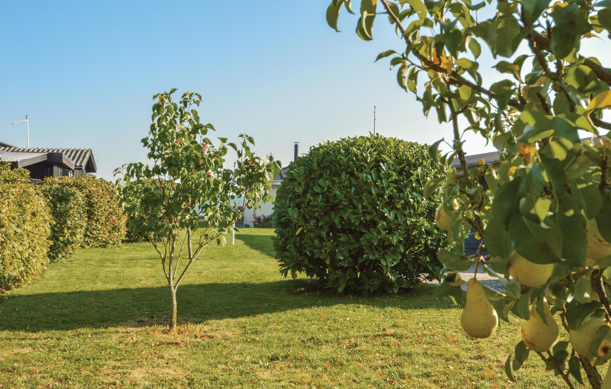 Un jardin bien entretenu, avec une variété d’arbres et d’arbustes, un ciel dégagé et, au fond, un bâtiment dont le toit est recouvert de tuiles.