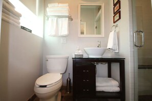 Hair dryer, towels - Peaceful Oasis in Top Chicago Neighborhood. Low Traffic, Pristine Cleanliness. (Chicago)