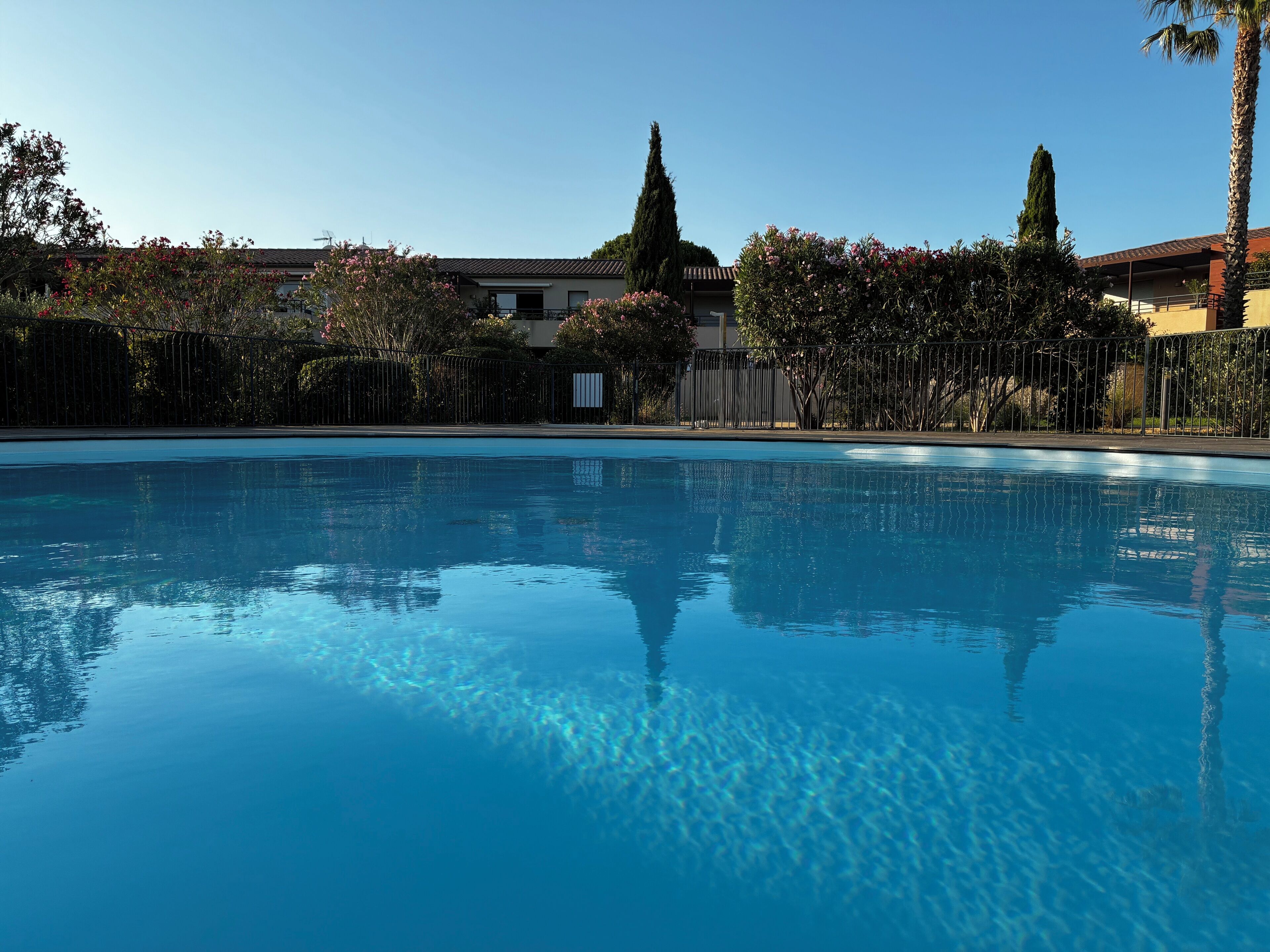 A clear swimming pool with a reflection of the surrounding trees and buildings.