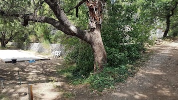 Parco della struttura