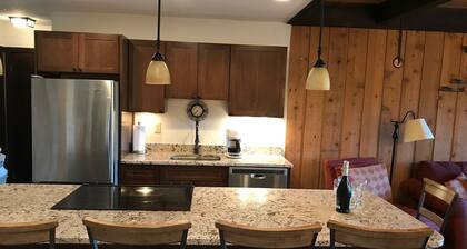 Remodeled ski in/ski out condo in Mt Crested Butte with incredible views!