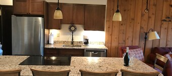 Remodeled ski in/ski out condo in Mt Crested Butte with incredible views!
