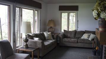 TV, DVD player, books, video library