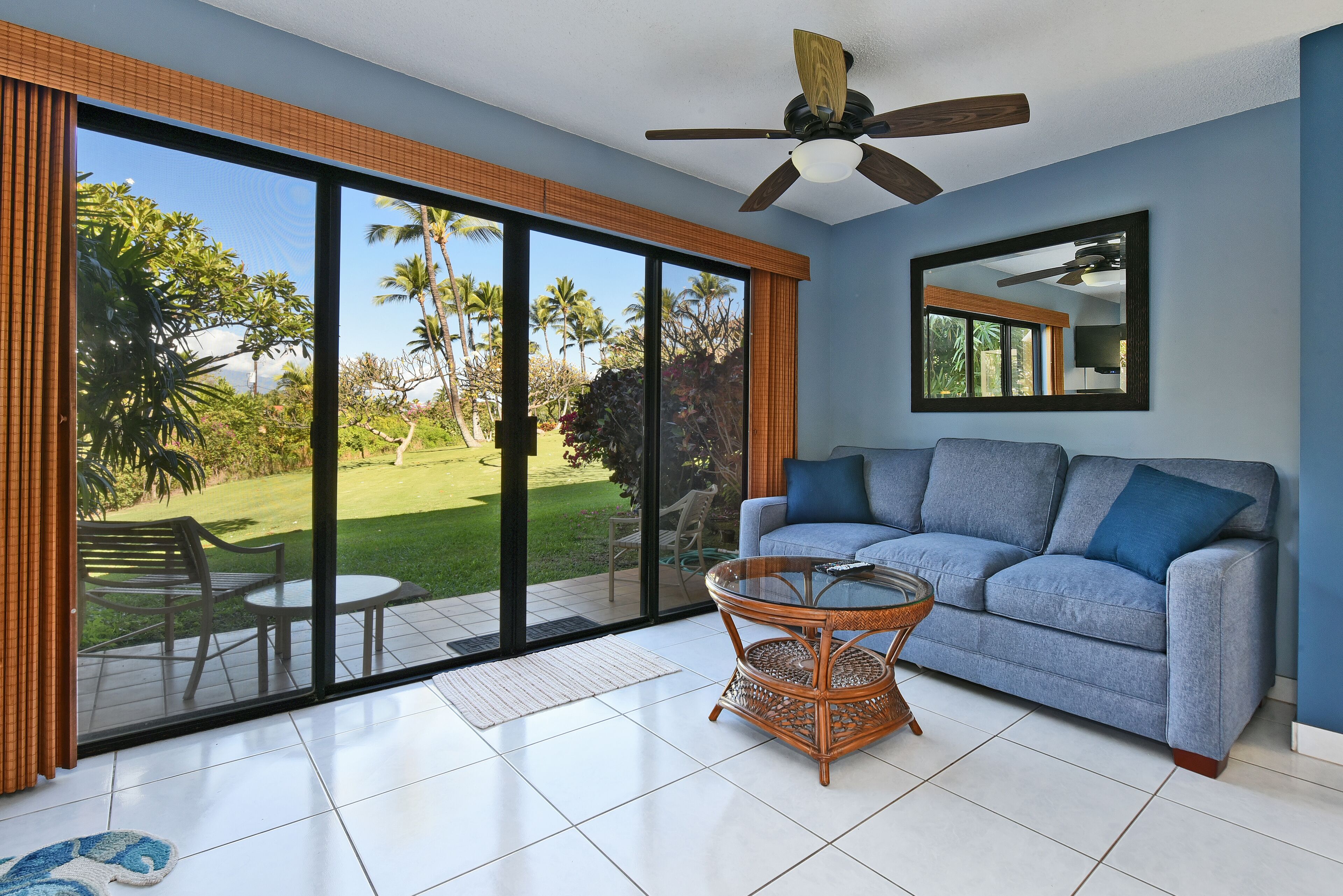 Smart TV, DVD player, books