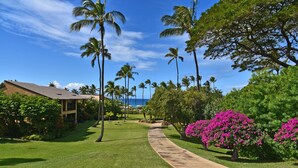 A pathway lined with palm trees and vibrant pink flowers, leading to a building with a sloped roof. - Largest Two Bedroom/ Two Bath in the Village, Sleeps Eight & Close to the Beach (Wailea)