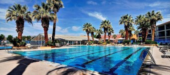 Las Palmas Spectacular View-Elevator, Washer-Dryer, No Resort Fees - Great RATE!