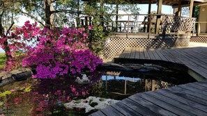 Property grounds - Very Private 1-Acre, 4-Bedrooms, 3-Fish Records, 21-Floor to Ceiling Windows (Crosby)