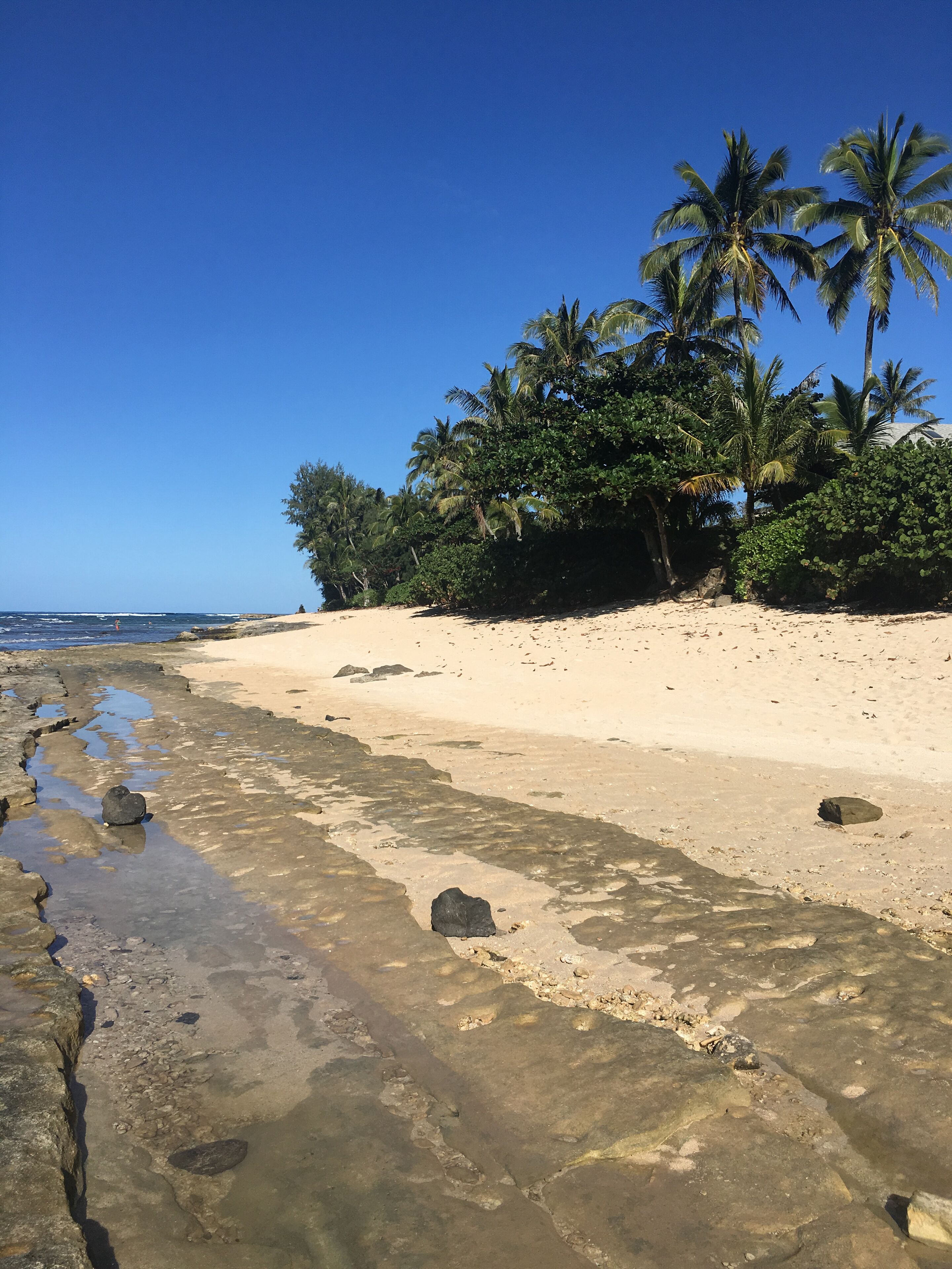On the beach, sun loungers, beach towels