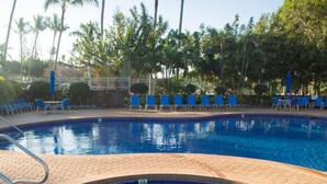Una piscina con borde de azulejos, rodeada de palmeras y sillas azules.