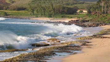 A coastal beach with rocky shoreline, sandy beach, and houses in the background.
