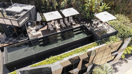 A rooftop infinity pool with lounge chairs and umbrellas, surrounded by greenery and modern architecture.. Crystalbrook Vincent
