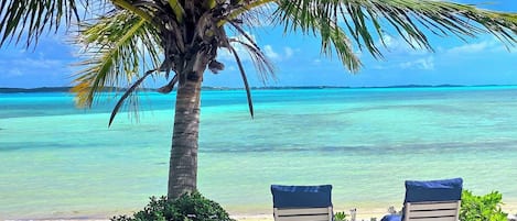 Ubicación a pie de playa, tumbonas y toallas de playa