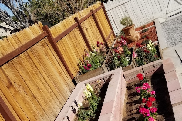 Terrein van de accommodatie