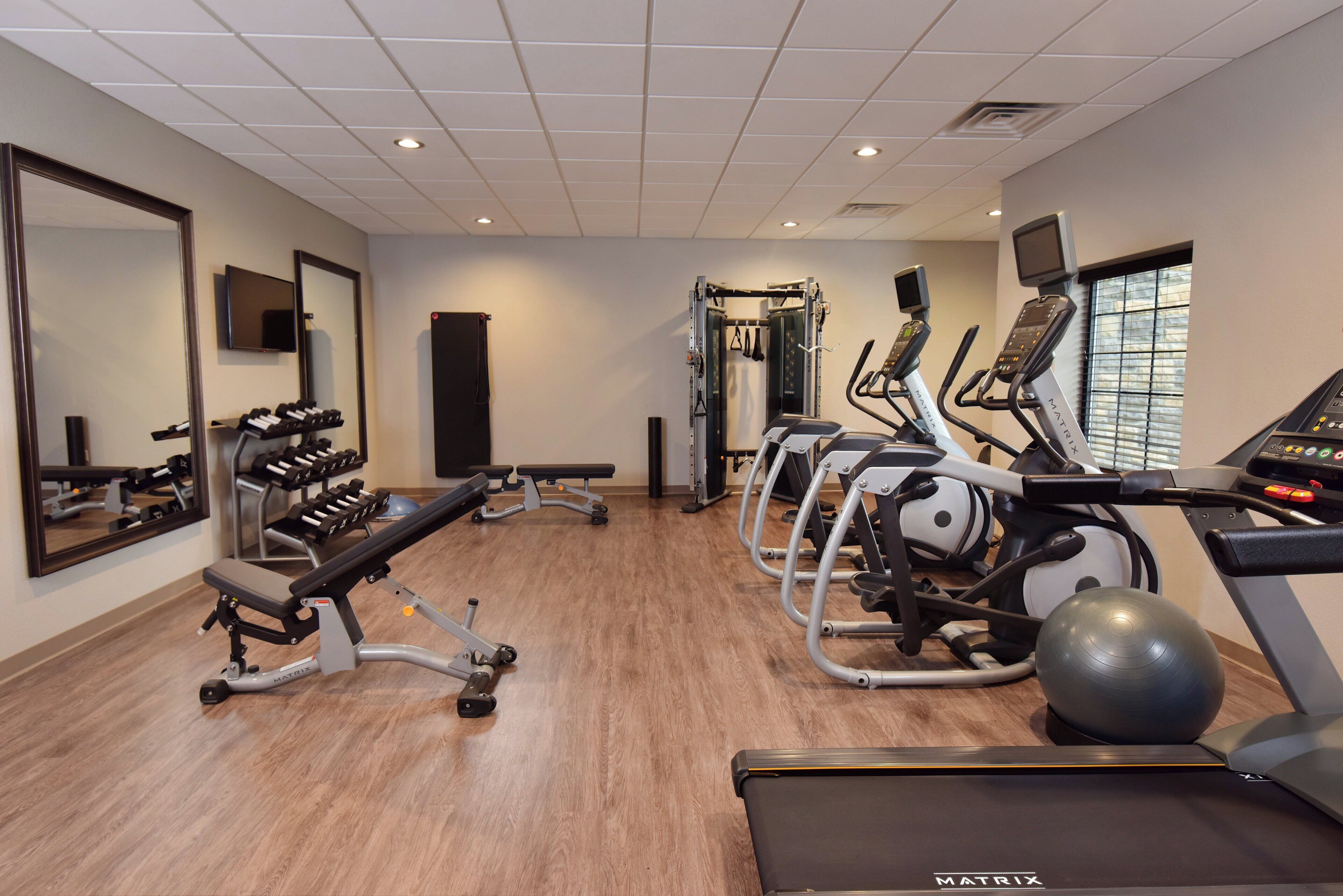 A gym with treadmills, exercise bikes, and free weights.