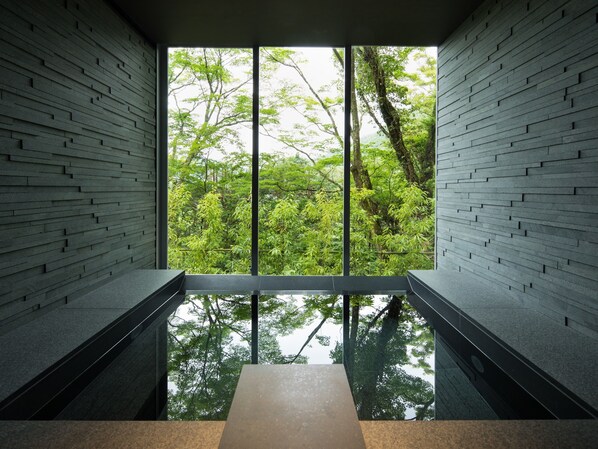 Public bath - Bar Hotel Hakone Kazan (Hakone)