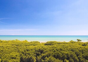 White sand, beach shuttle, sun loungers, beach umbrellas - Hotel Major (Cervia)