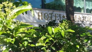 A hotel sign with the name "HOTEL IMOR" partially obscured by foliage. - Hotel Major (Cervia)