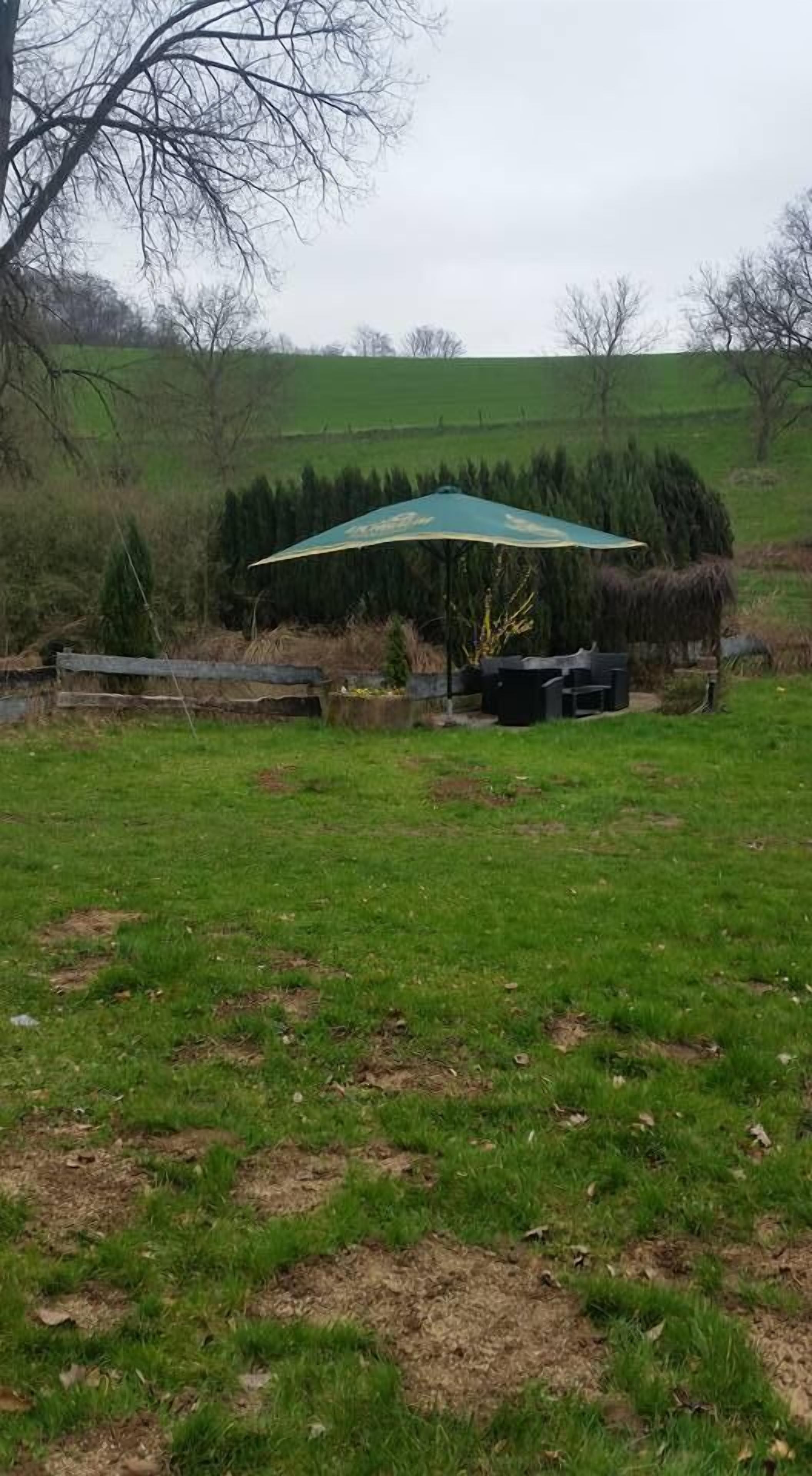 Un champ herbeux avec une grande structure en forme de parasol, un arbre et une clôture en arrière-plan.