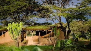A traditional hut with a thatched roof, surrounded by cacti and trees. - Maji Moto Maasai Cultural Camp (Maji Moto)