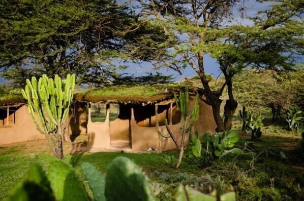 A traditional hut with a thatched roof, surrounded by cacti and trees. - Maji Moto Maasai Cultural Camp (Maji Moto)