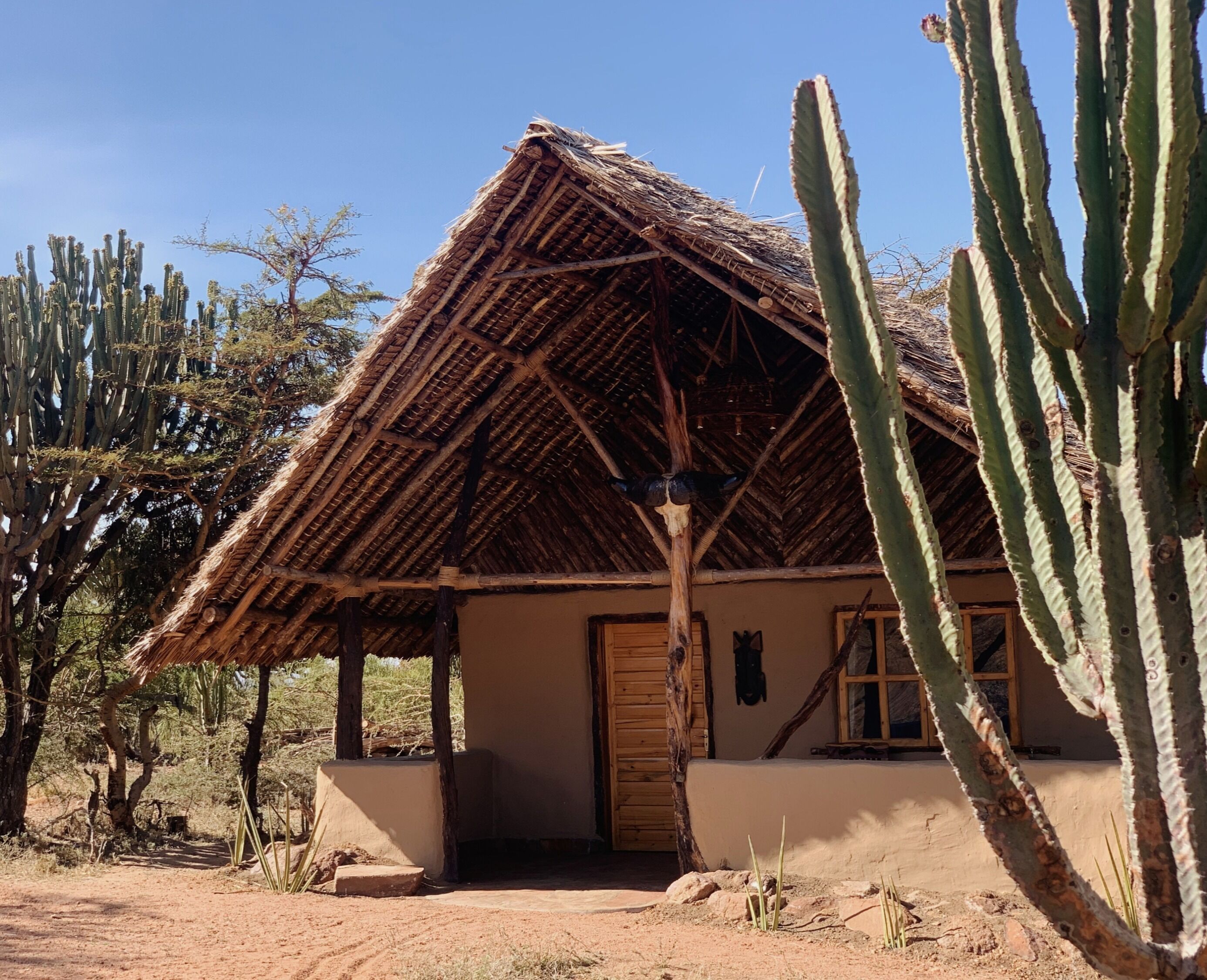 A thatched-roof hut with a wooden door and windows, surrounded by cacti and sparse vegetation.