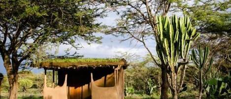 A small, rustic hut with a thatched roof, surrounded by trees and cacti in a natural setting.