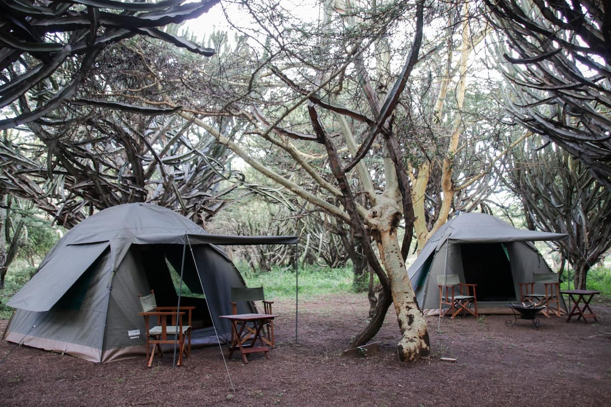 Tent (Mattress and Tent Provided) | Bed sheets, wheelchair access