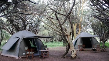 Tent (Mattress and Tent Provided) | Beddengoed, rolstoeltoegankelijk