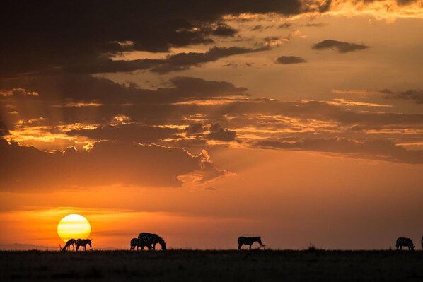Beach - Maji Moto Maasai Cultural Camp (Maji Moto)