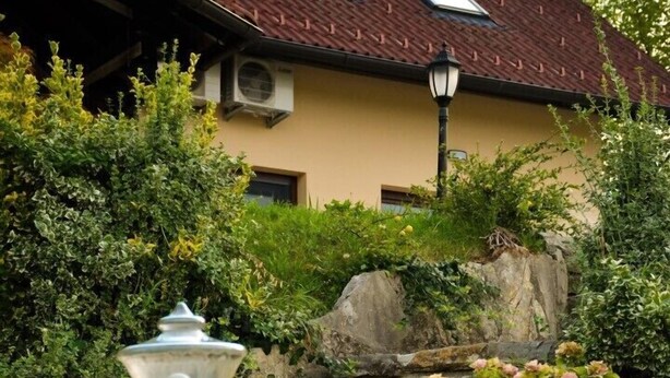 A stone staircase leading to a building with a sloped roof and skylights. - Guest House Zevnik (Brezice)