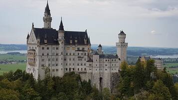 Eine große, historische Burg mit zahlreichen Türmen und einem markanten Hauptgebäude, umgeben von üppiger Vegetation und einer reizvollen Landschaft.