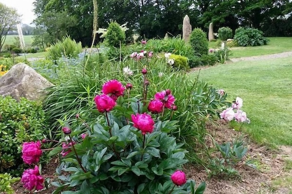 Áreas de la propiedad