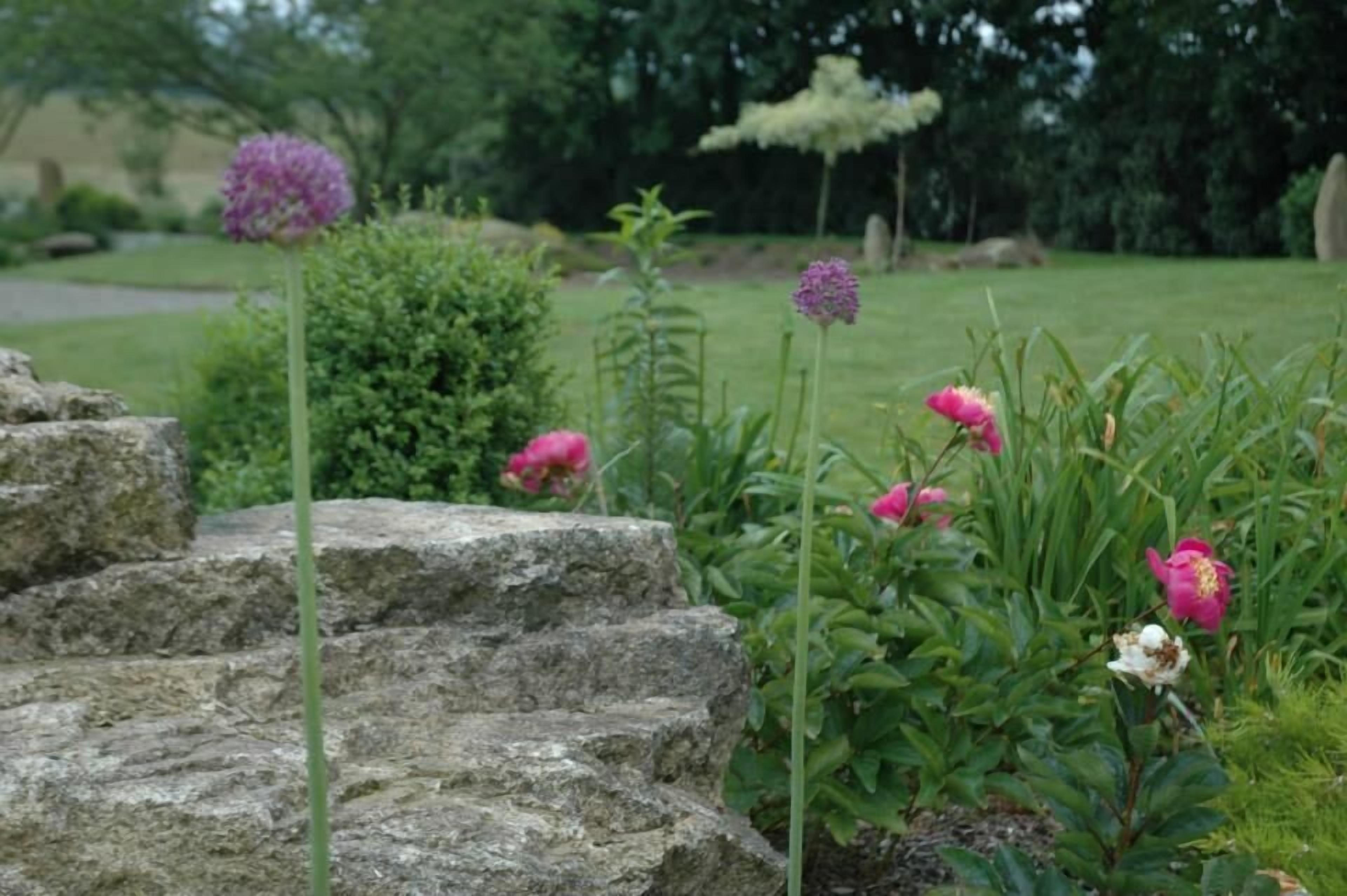 Un jardín con escalones de piedra y diversas flores.