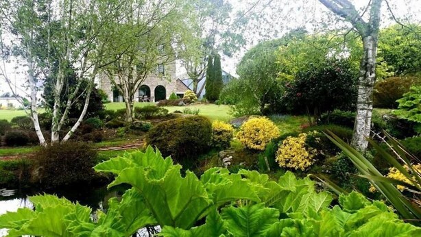 Ein Garten mit Teich, verschiedenen Sträuchern und einem Gebäude mit Rundbogenfenstern im Hintergrund.