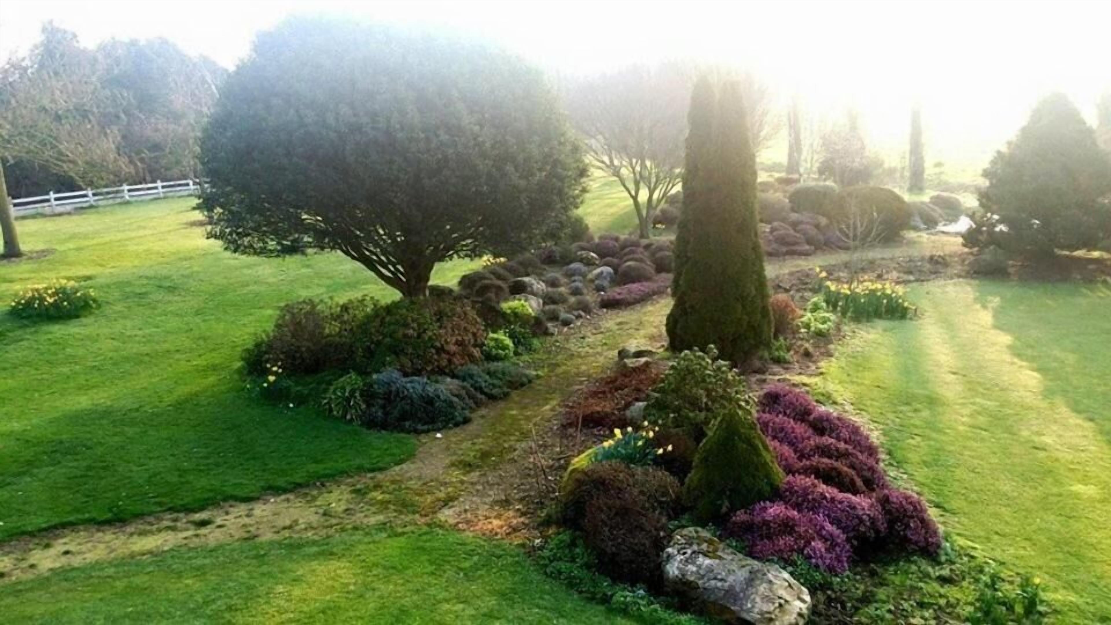 A well-maintained garden with a variety of shrubs and trees, a clear path, and a white fence in the background.