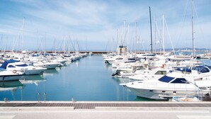 A marina with numerous sailboats docked in calm waters.