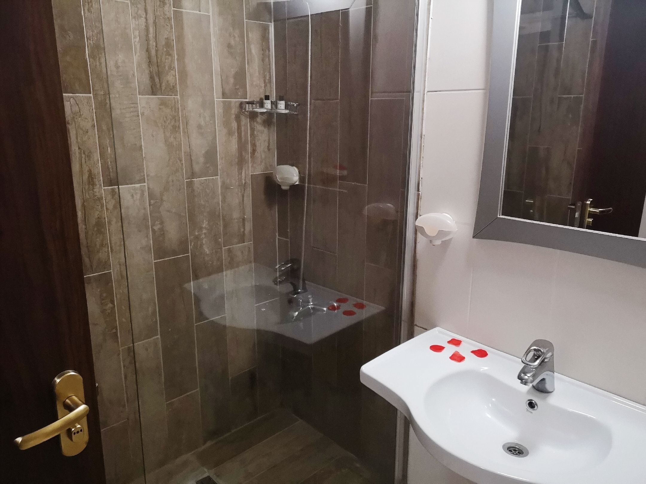 standard room, smoking | bathroom | shower, free toiletries, hair dryer, slippers